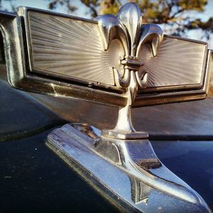 Meet your Posher, Billy